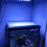 37 Gallon Column