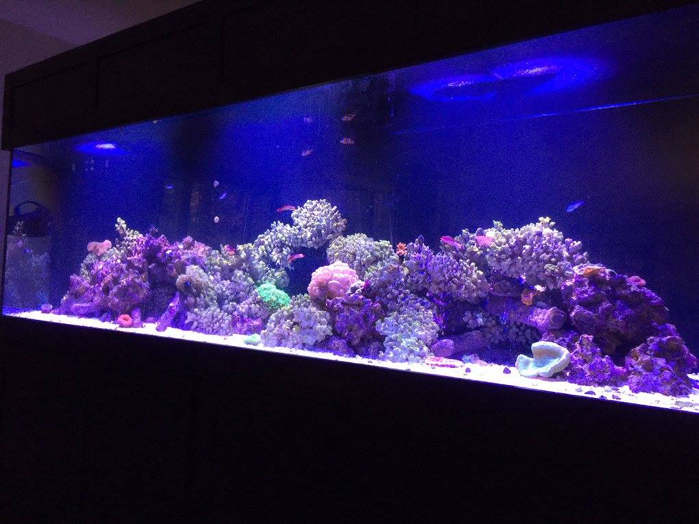 325 Gallon