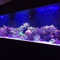 325 Gallon